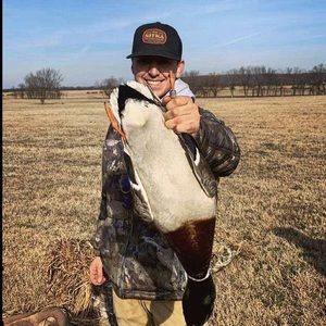 Meet your Posher, Remington